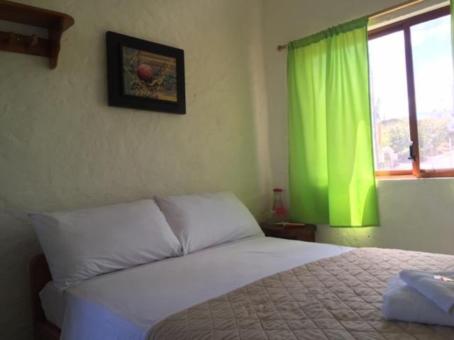 Royal Galapagos Inn Puerto Baquerizo Moreno Eksteriør billede